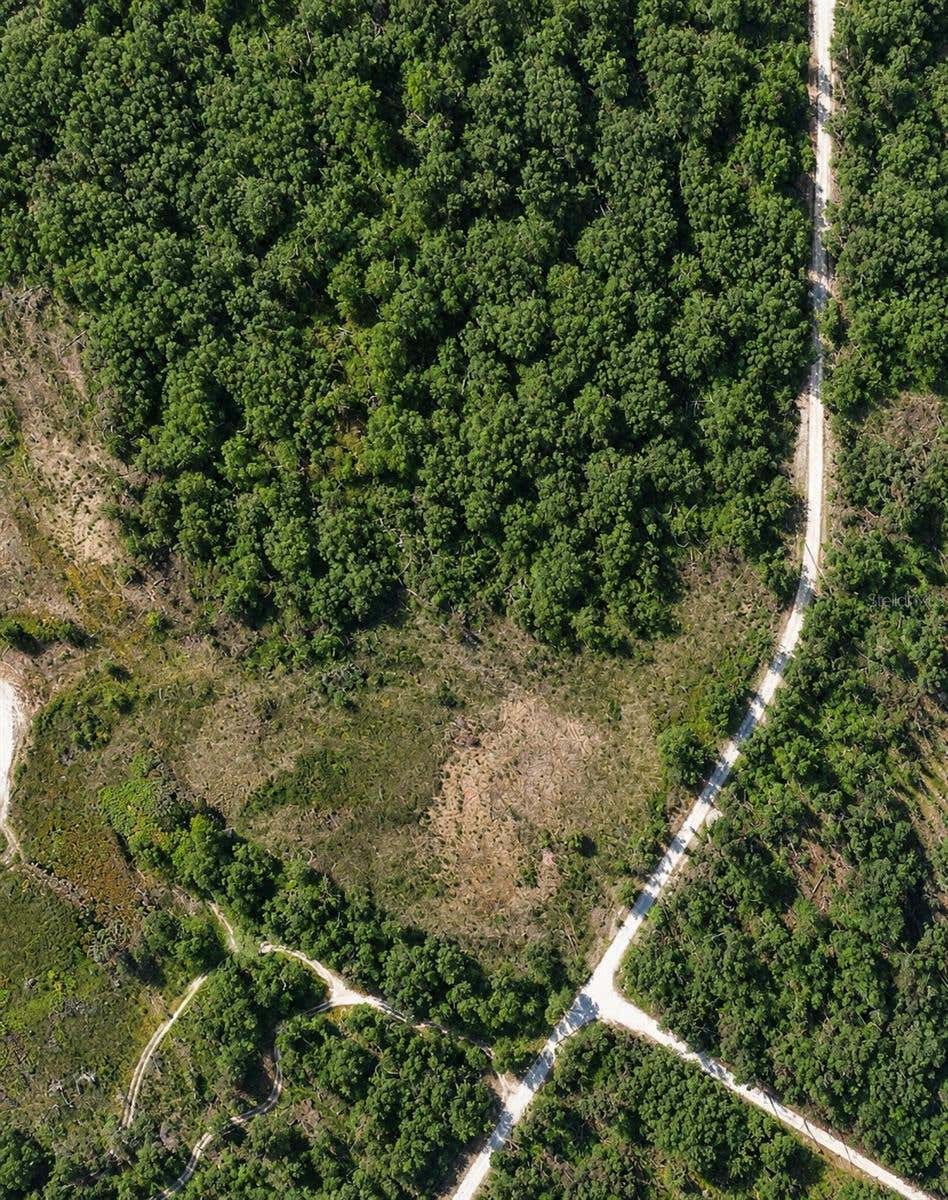 Photo of Coral Rock Drive, Webster, FL 33597 (MLS # TB8527767)