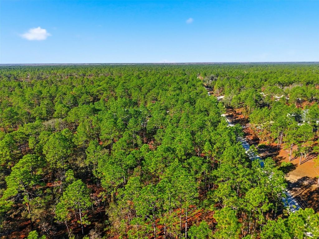 Photo of Raschke Run, Weeki Wachee, FL 34614 (MLS # W7881459)