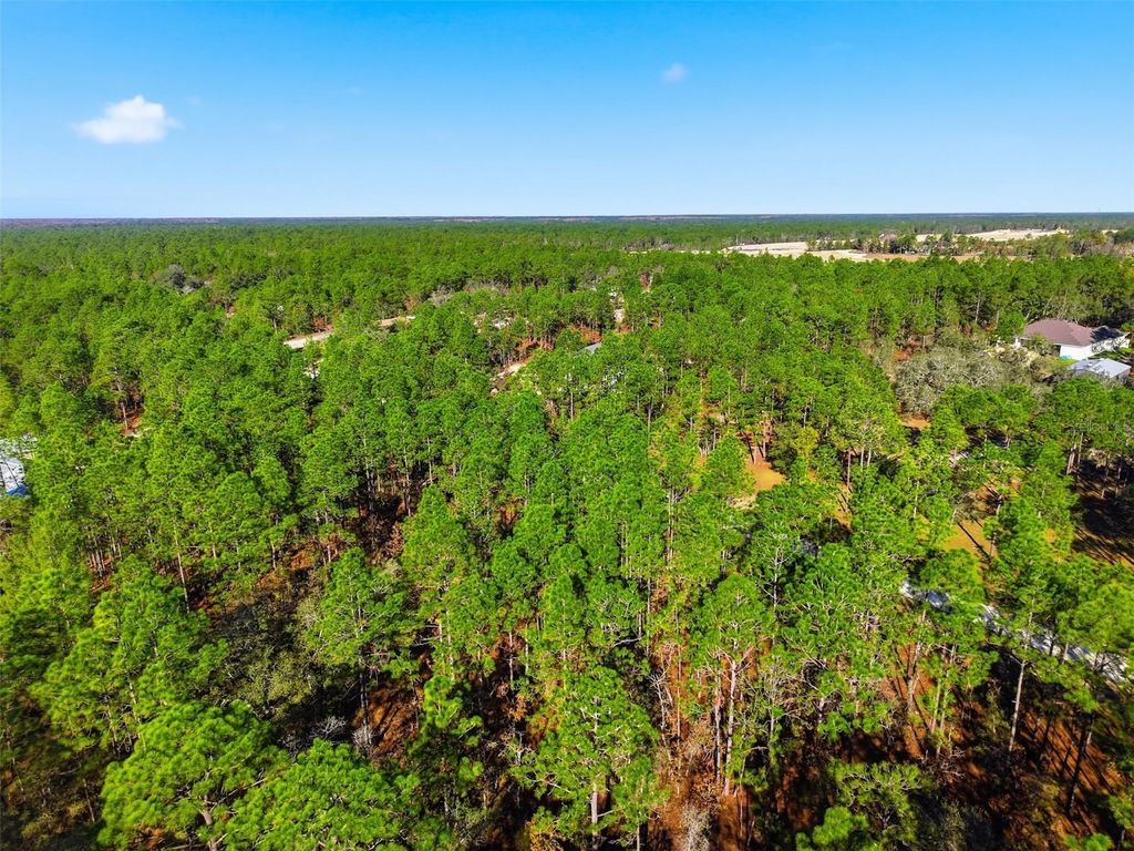 Photo of Raschke Run, Weeki Wachee, FL 34614 (MLS # W7881459)