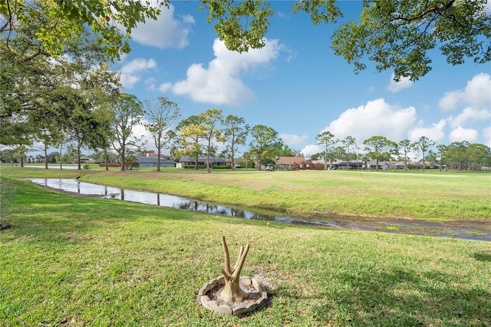 WEDGEWOOD AT SPRUCE CREEK - Residential