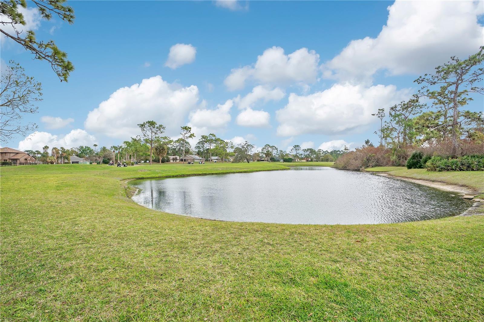 WEDGEWOOD AT SPRUCE CREEK - Residential