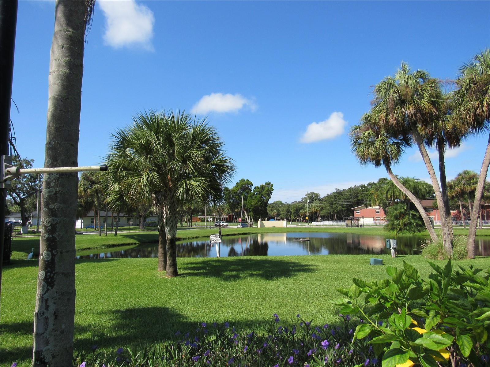 ARBOR GROVE CONDO - Residential