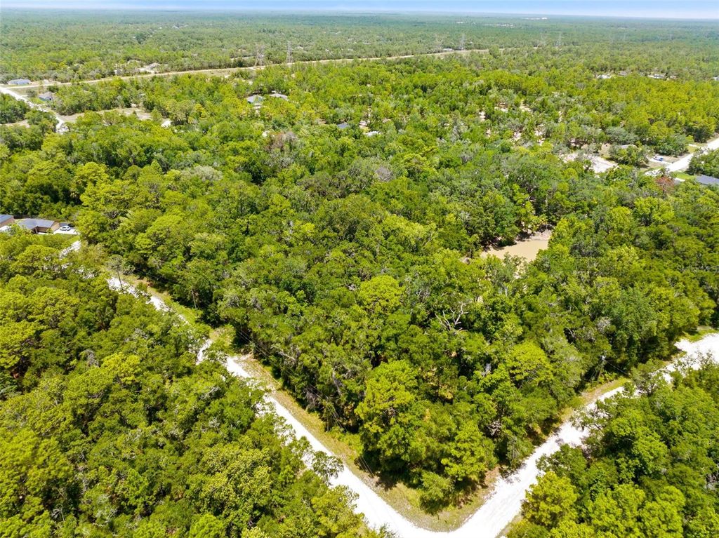 Photo of 0 Ricebird Avenue #LOT 10-11, Weeki Wachee, FL 34614 (MLS # TB8515317)