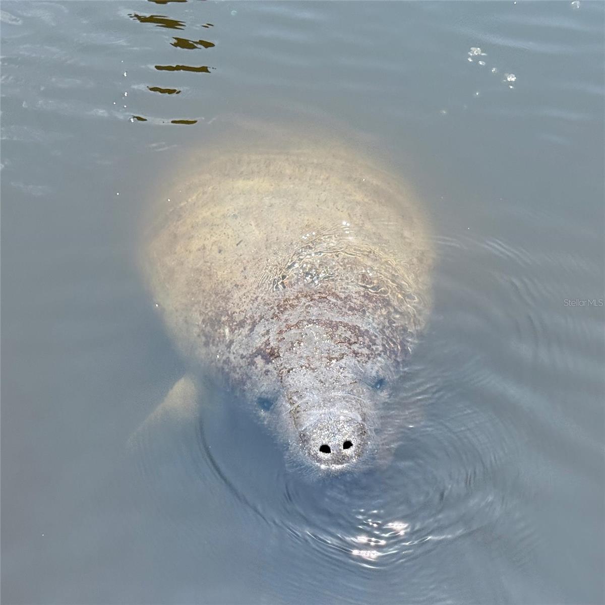 BAY HOLLOW - Residential