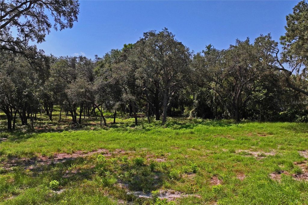 Photo of 16900 Akins Drive, Spring Hill, FL 34610 (MLS # W7878602)