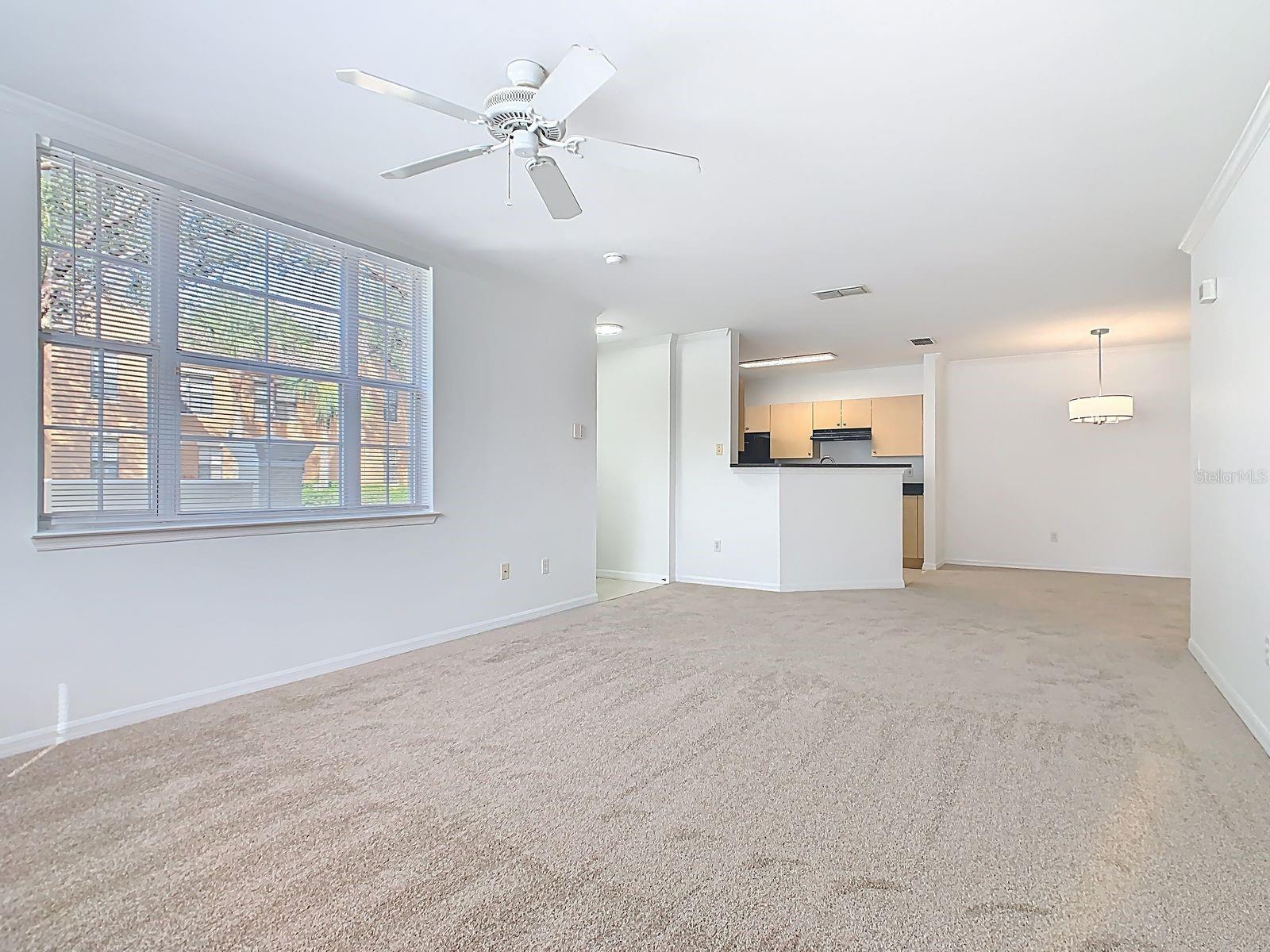 SIENA AT CELEBRATION CONDO B - Residential