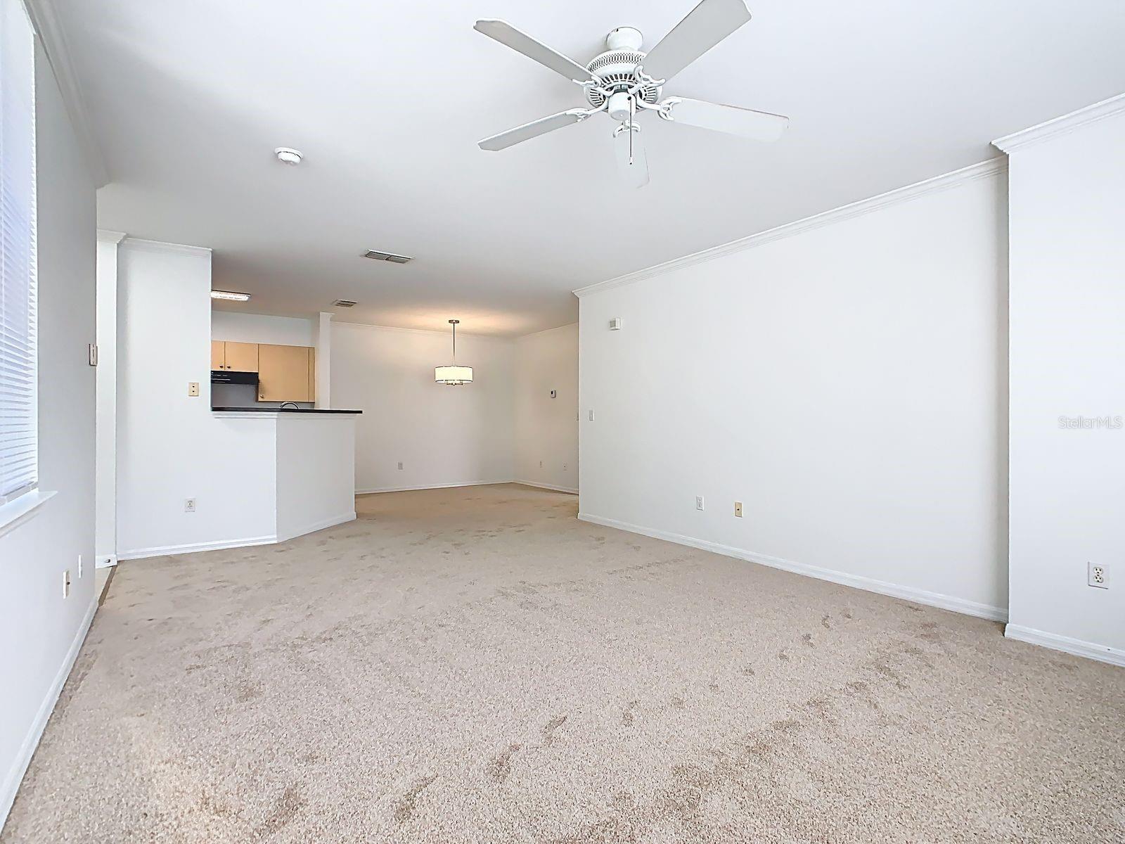 SIENA AT CELEBRATION CONDO B - Residential