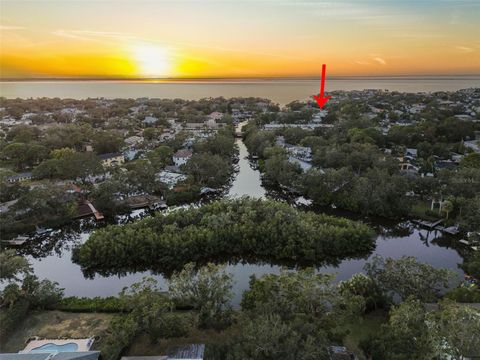 A home in TAMPA