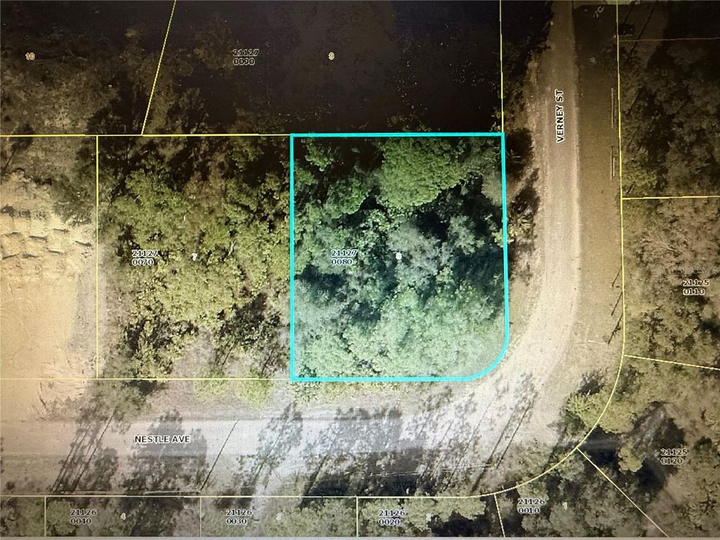 Photo of 368 Nestle Avenue, Lehigh Acres, FL 33972 (MLS # OM719235)