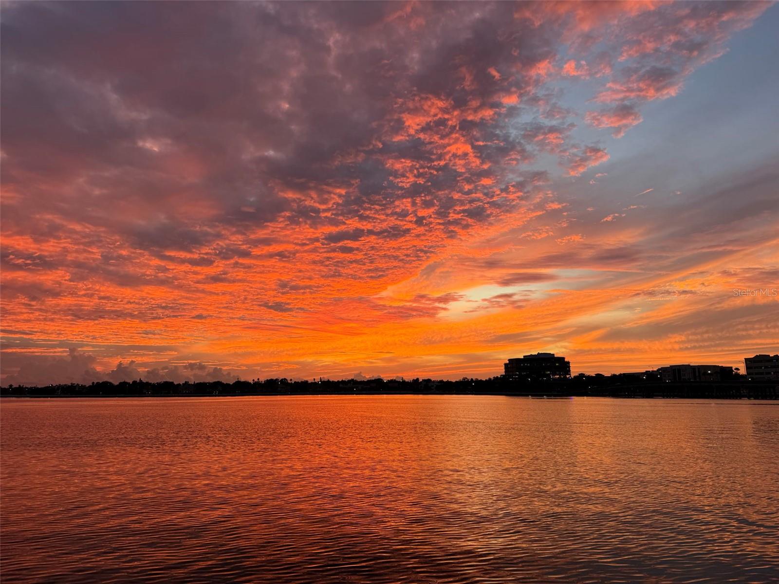 DAVIS ISLANDS - Residential Lease