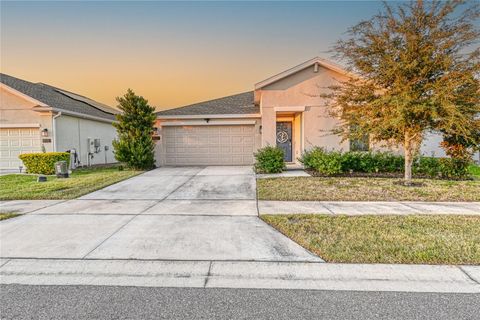 Photo of 1159 Pomelo Street, Davenport, FL 33837 (MLS # O6356534)