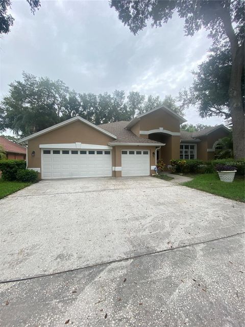 A home in VALRICO