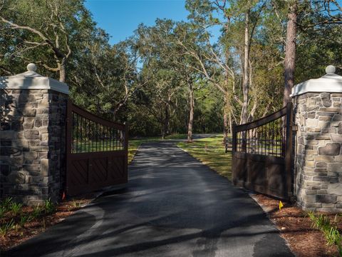 Tiny photo for Tbd NW 130th Avenue, Ocala, FL 34482 (MLS # OM689144)