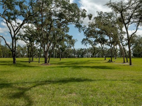 Tiny photo for Tbd NW 130th Avenue, Ocala, FL 34482 (MLS # OM689144)