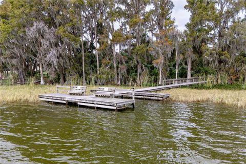 A home in EUSTIS