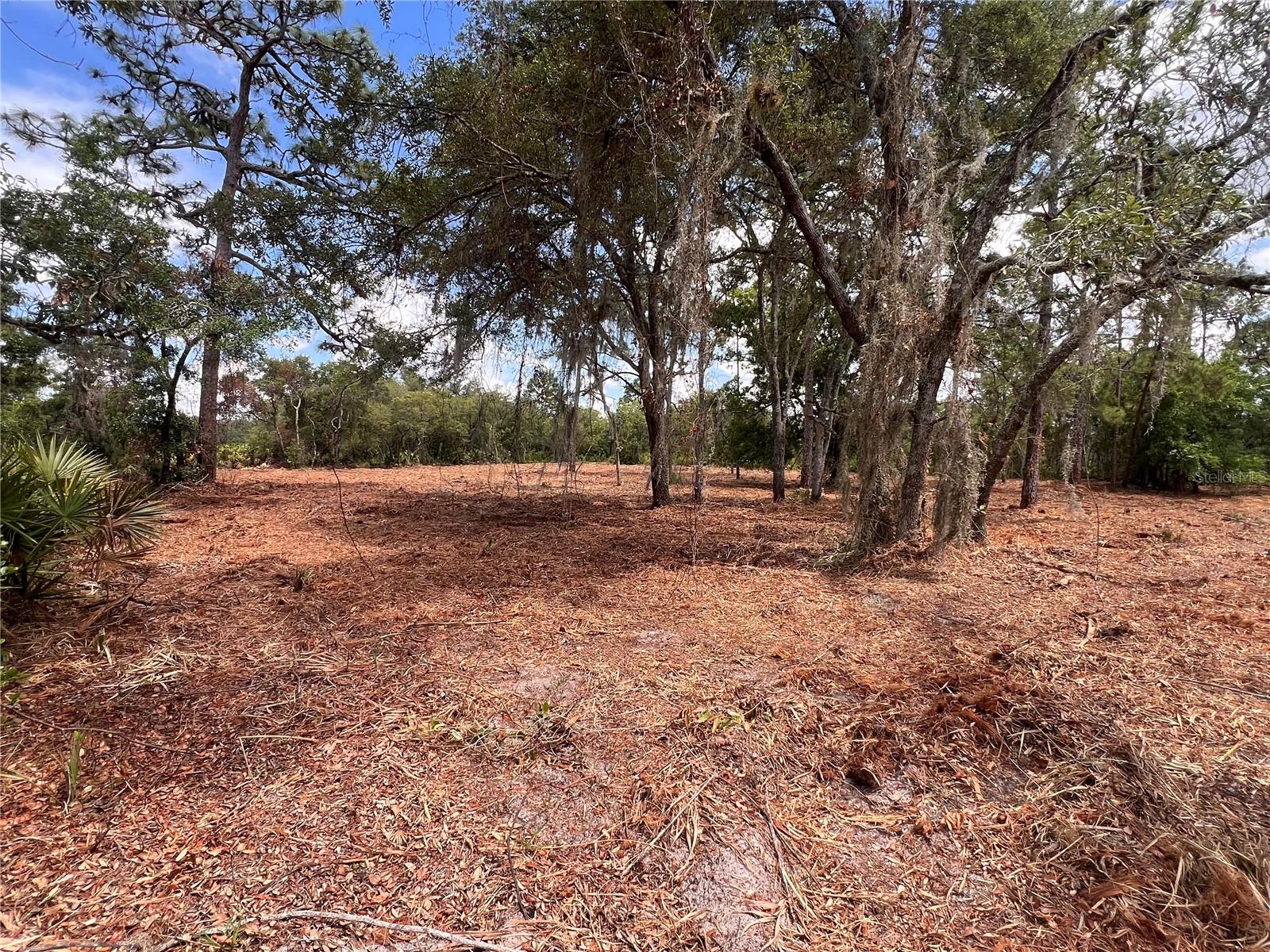 REEDY LAKE ESTATES - Land
