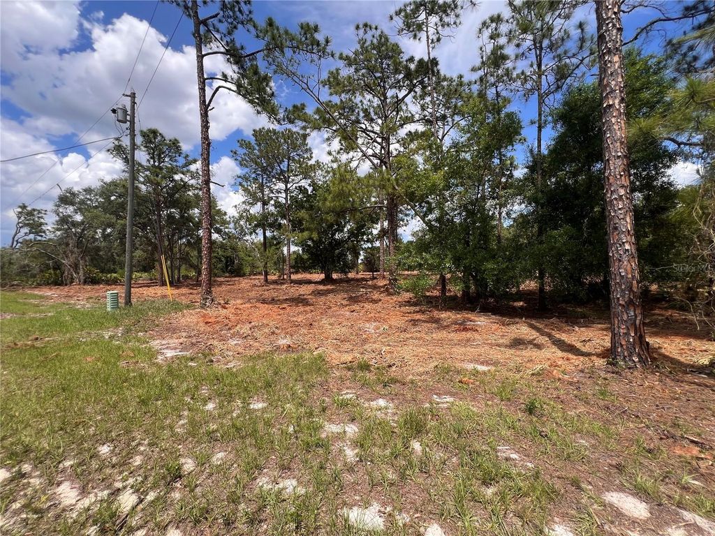 Photo of Deer Road, Frostproof, FL 33843 (MLS # K4903486)
