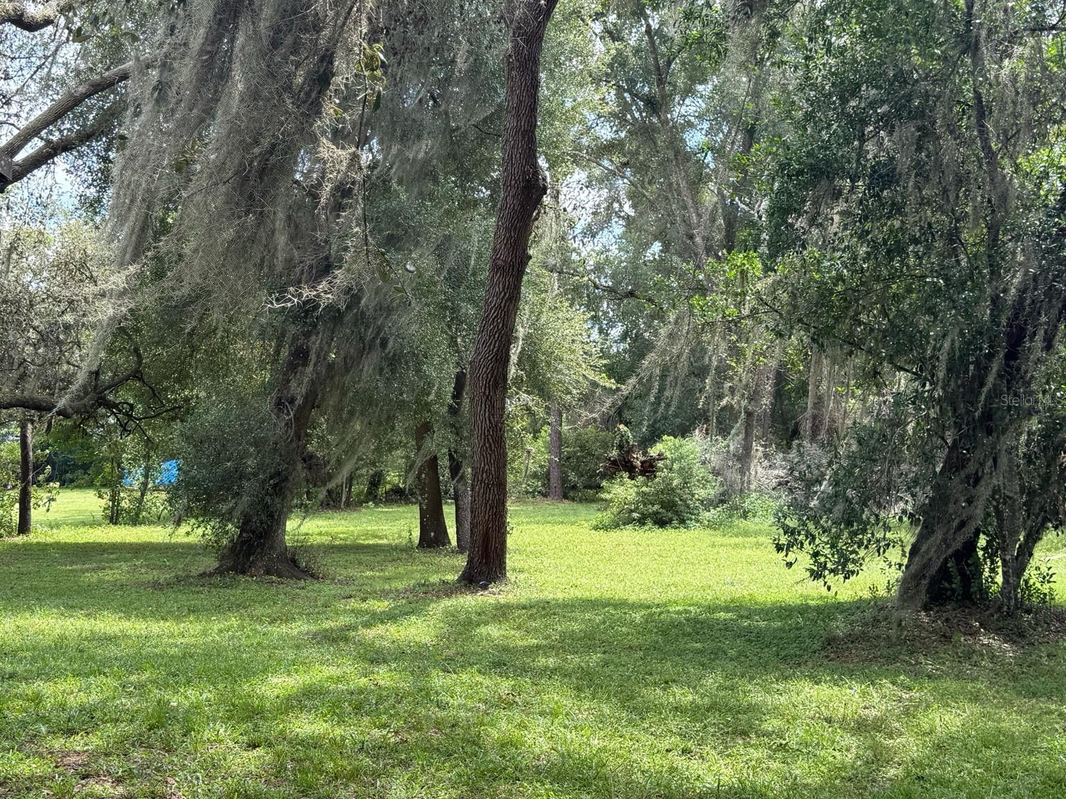 RIDGE MANOR FARMS - Residential