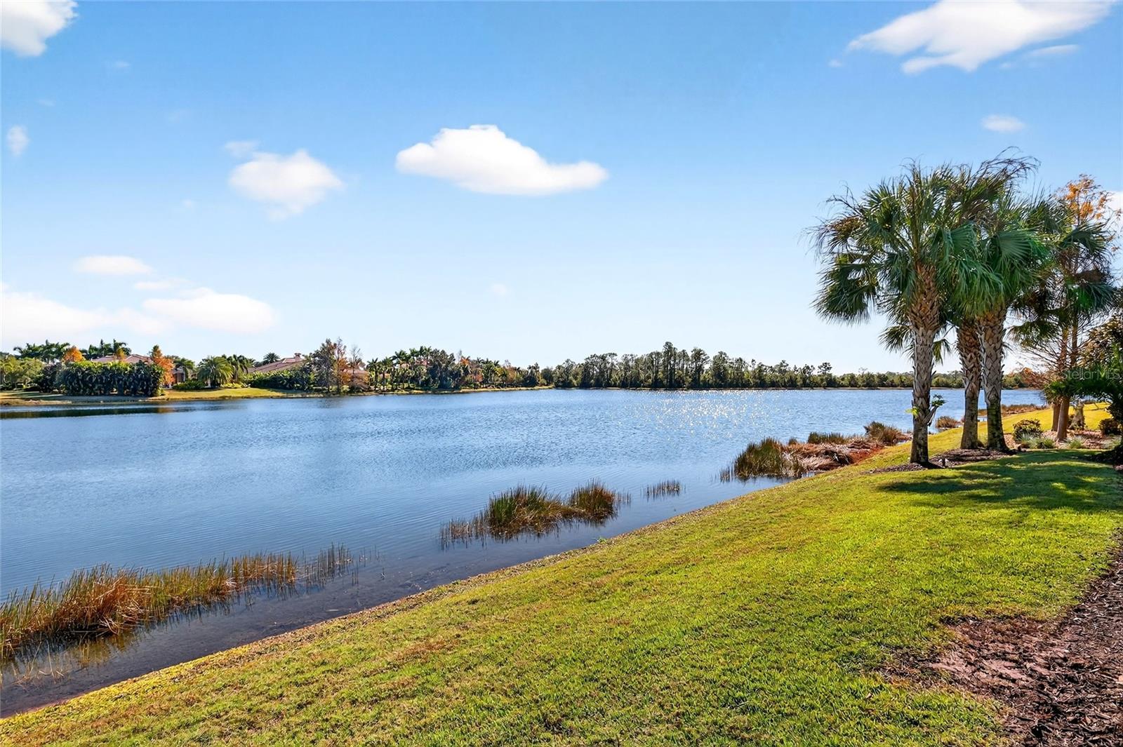 CONCESSION - Residential