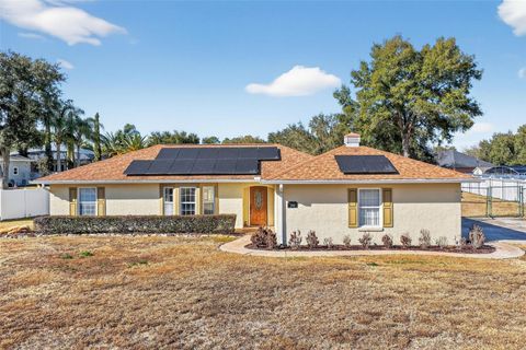 13523 BISCAYNE DRIVE GRAND ISLAND FL 32735