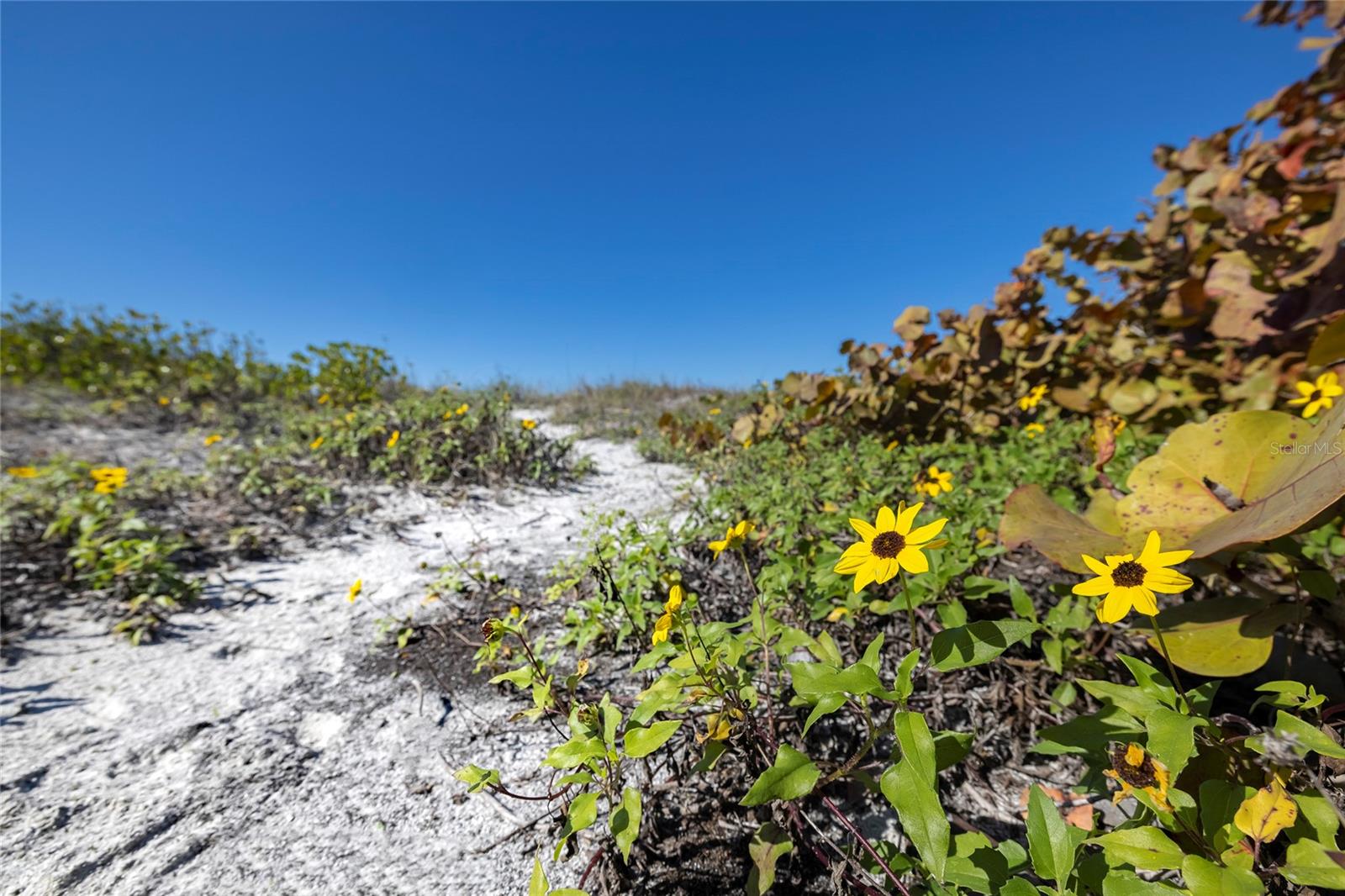 SURFSIDE SUB 2 - Residential