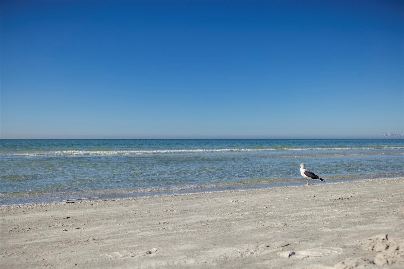 SURFSIDE SUB 2 - Residential