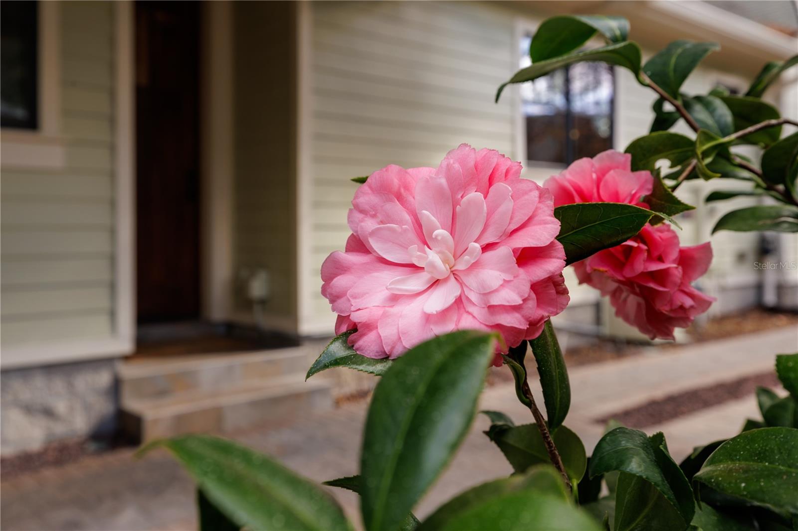 ROSARDEN REP - Residential