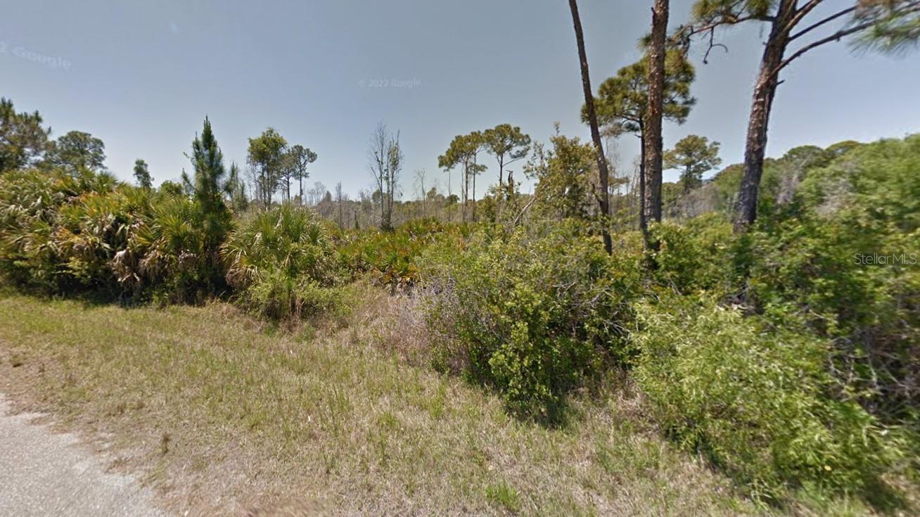 Discover the perfect opportunity to invest in one of Florida’s fastest-growing areas. This vacant lot is located in a peaceful and developing neighborhood in Port Charlotte, just minutes from shopping, restaurants, schools, and the beautiful Gulf beaches. With no HOA and no flood zone, this property offers flexibility and peace of mind. Surrounded by natural beauty and new construction, it's an ideal location for your next project. Secure your slice of Florida paradise today!