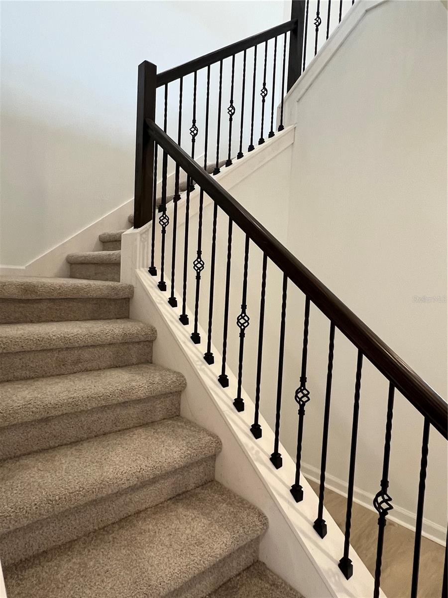 HILLS OF MINNEOLA - Residential