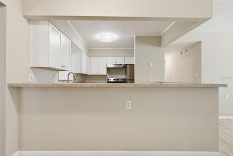 Tiny photo for 509 Scenic Street, Leesburg, FL 34748 (MLS # O6437308)