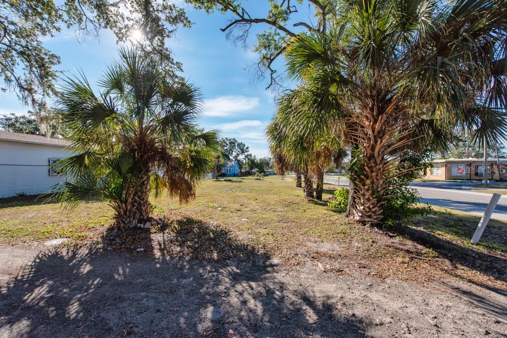 PECAN HIGHLANDS - Land