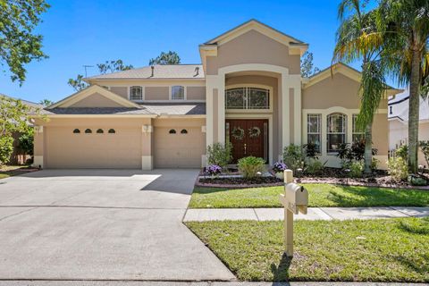 18129 HERON WALK DRIVE TAMPA FL 33647