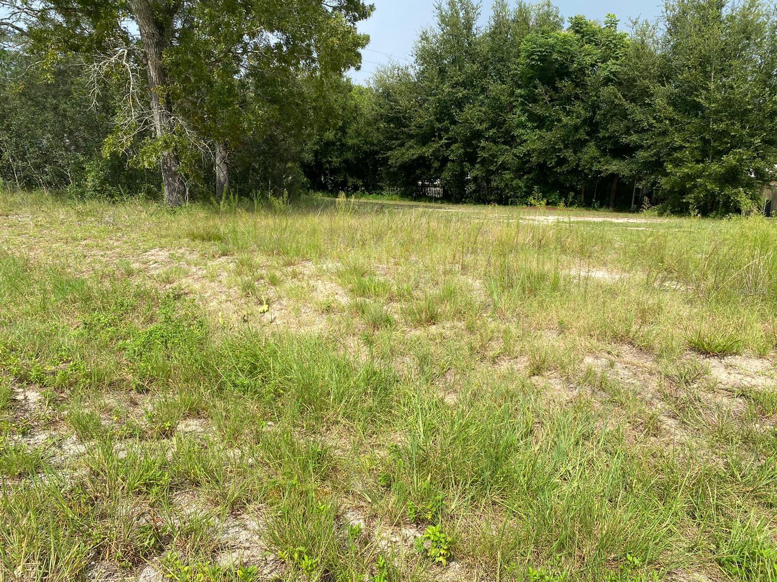 ORANGE BLOSSOM HILLS - Land