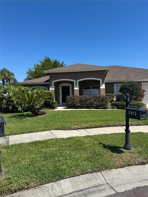 3913 LITTLE EGRET COURT LUTZ FL 33558