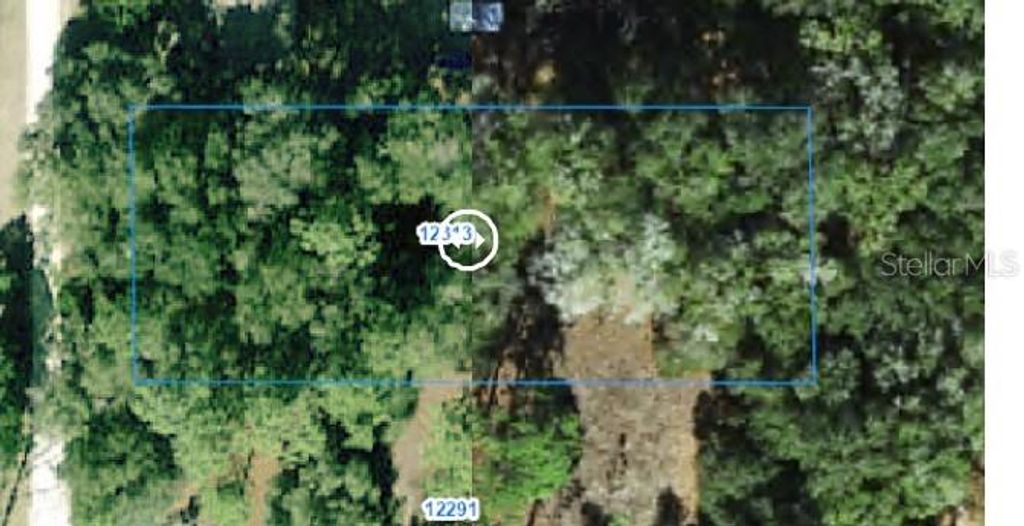 Photo of 12313 N Elf Point, Dunnellon, FL 34433 (MLS # OM711336)