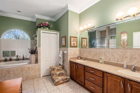 Tiny photo for 570 E Bismark Street, Hernando, FL 34442 (MLS # TB8449341)