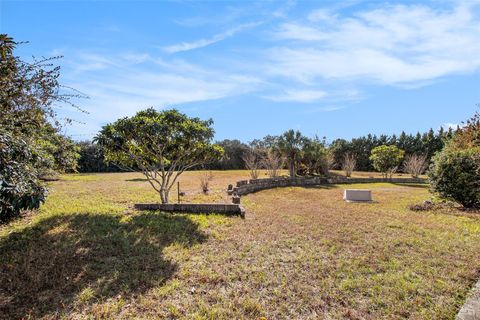 Tiny photo for 570 E Bismark Street, Hernando, FL 34442 (MLS # TB8449341)