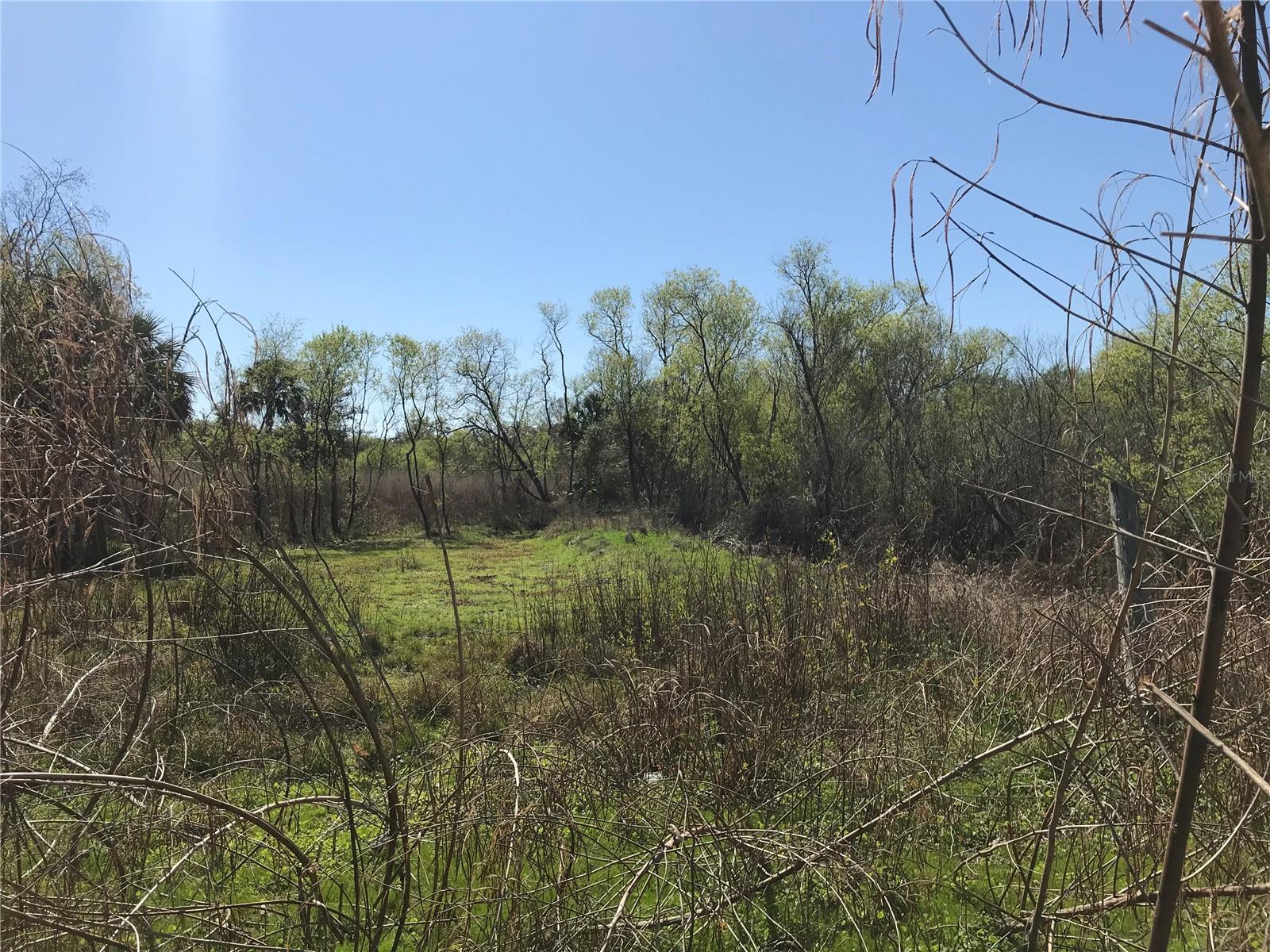 Looking for a piece of old Florida to turn into your own perfect oasis, look no further. Just over two acres of possibilities, check this one out today!