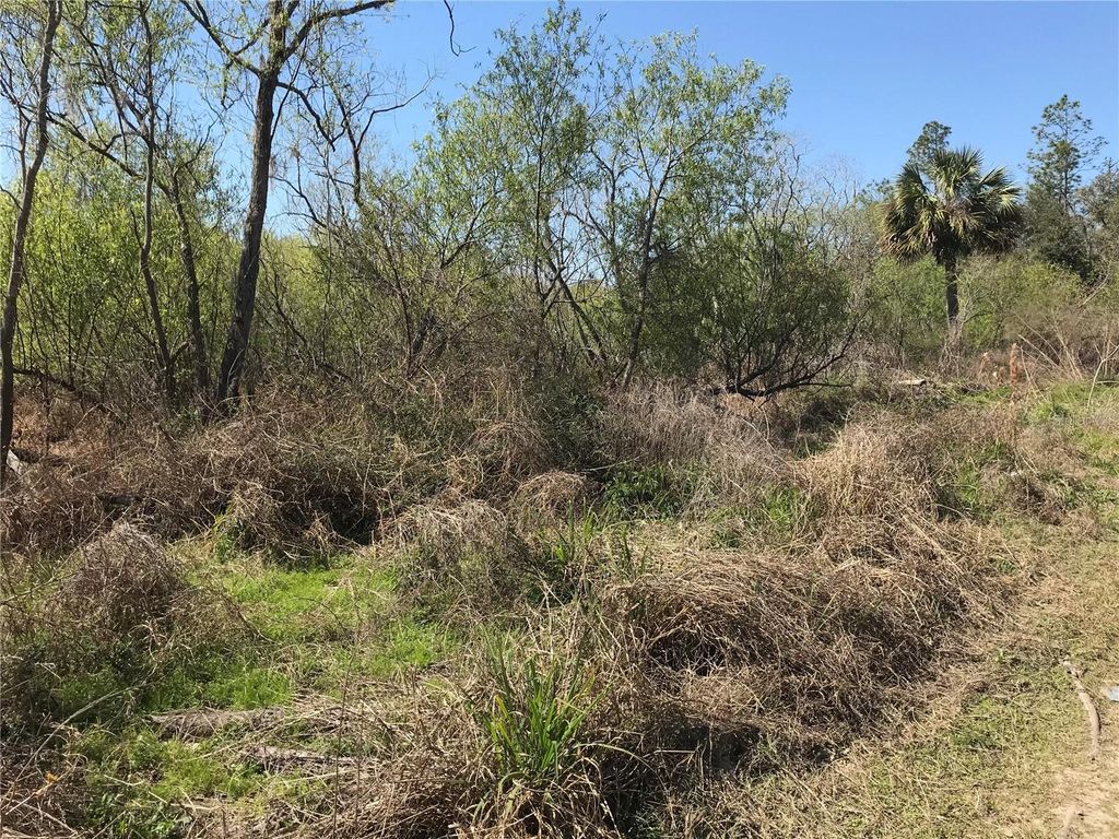 Photo of 8908 W Candleglow Street, Crystal River, FL 34428 (MLS # G5093621)