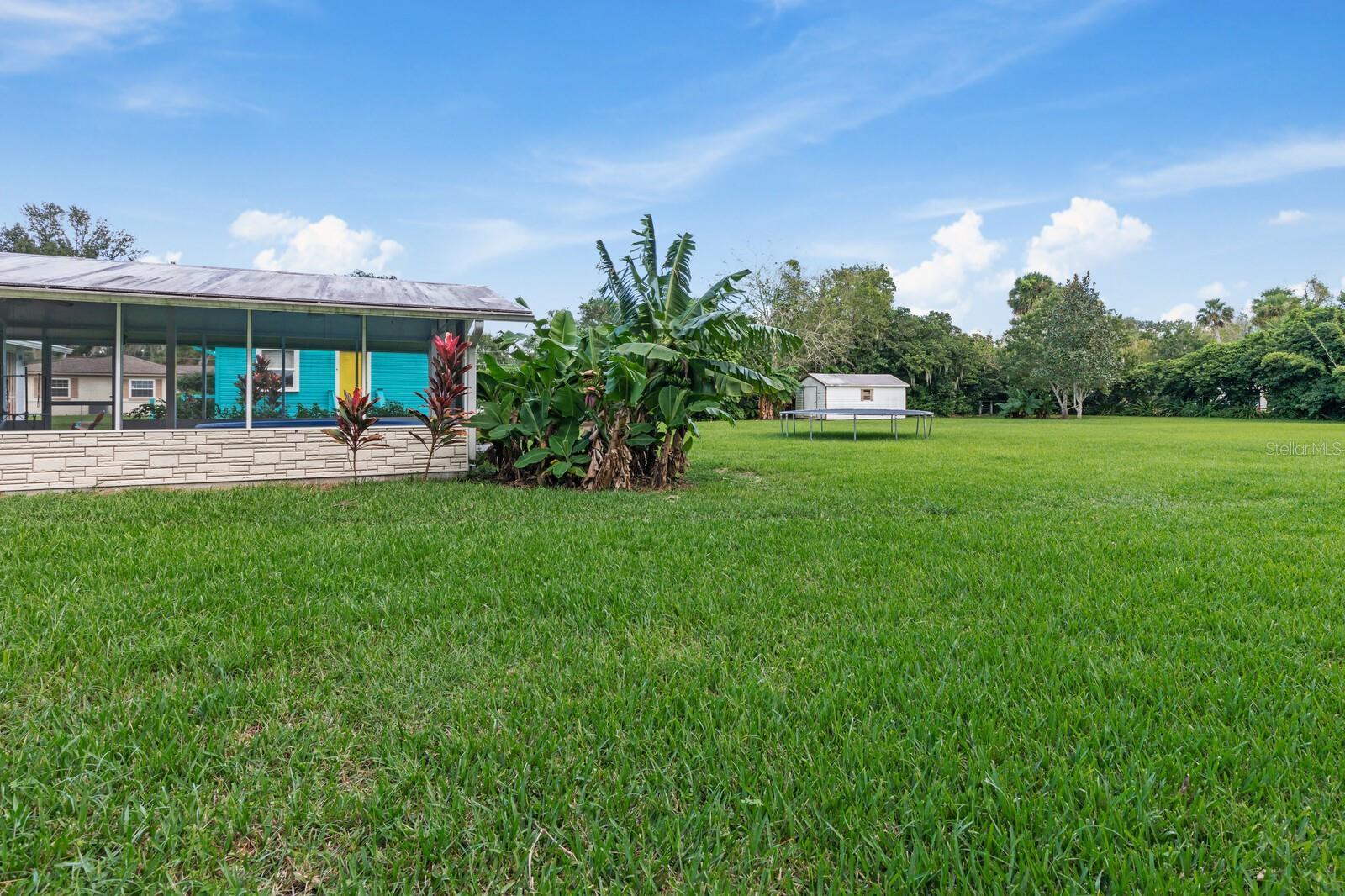 Dunlawton - Residential