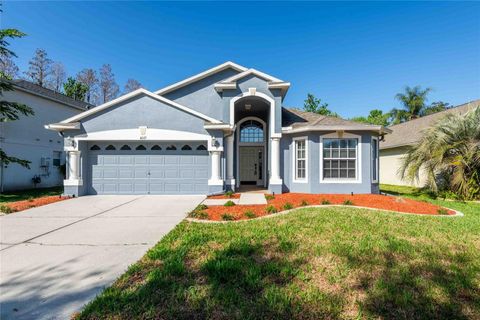 Photo of 4045 Marchmont Boulevard, Land O Lakes, FL 34638 (MLS # TB8486072)