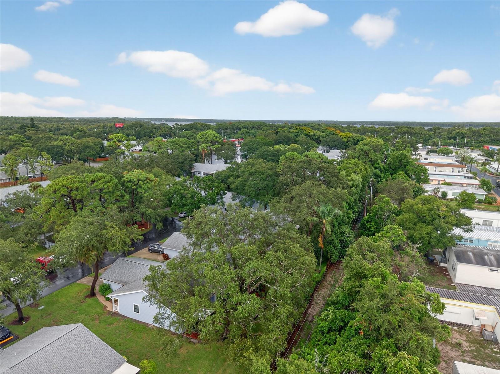 WOODS AT ANDERSON PARK CONDO THE - Residential