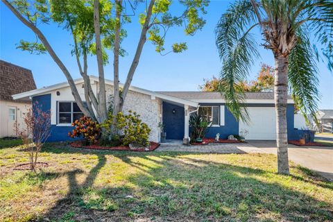 Photo of 4004 Claremont Drive, New Port Richey, FL 34652 (MLS # TB8445765)