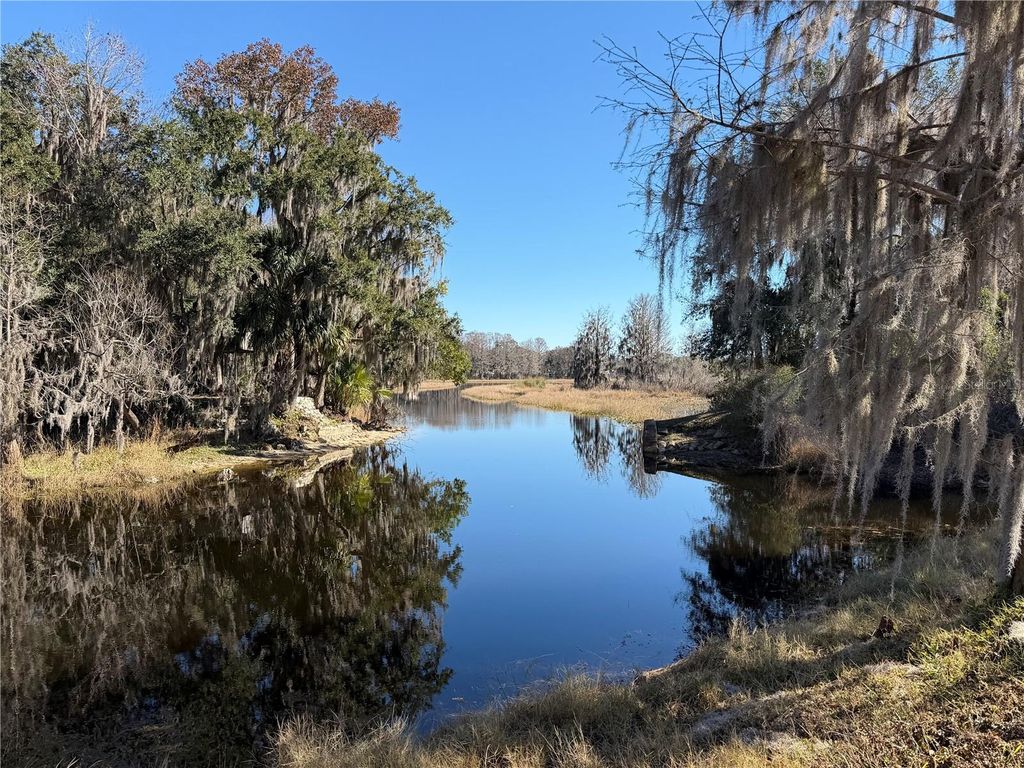 Photo of 1340 Cypress Cove Court, Inverness, FL 34450 (MLS # TB8492053)