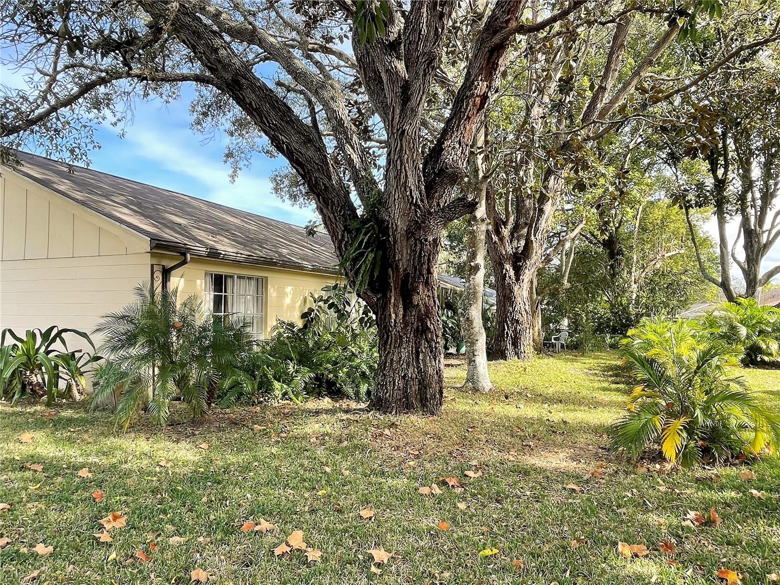 BEACON WOODS VILLAGE - Residential