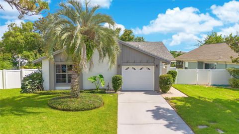 A home in ORLANDO