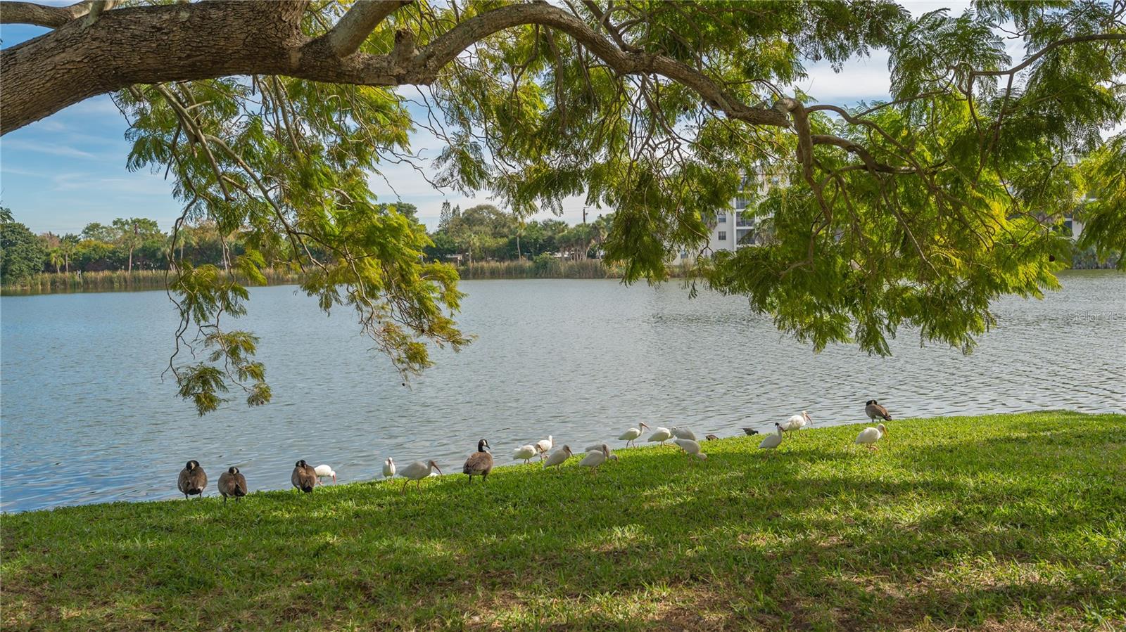 BAYSHORE ON THE LAKE APTS SEC 1 - Residential