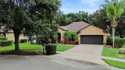 A home in DELTONA