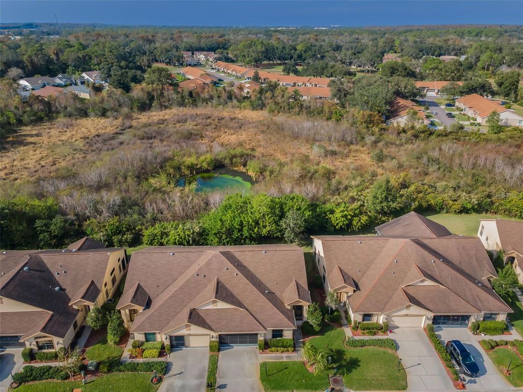 Photo of 9405 Palm Haven Court, New Port Richey, FL 34655 (MLS # W7881809)