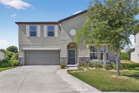 Photo of 13503 Wild Ginger Street, Riverview, FL 33579 (MLS # TB8439849)